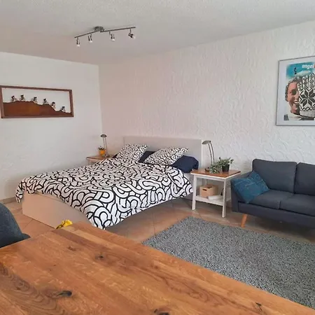 Gemuetliches Studio Mit Bergblick & Arbeitsplatz Daire Engelberg